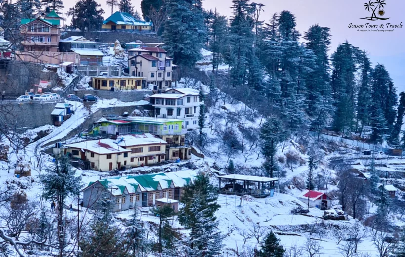 Women's Special Shimla Manali Package